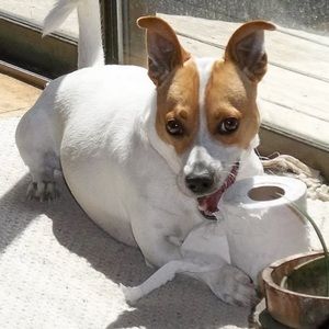 Meet your Posher, Rita